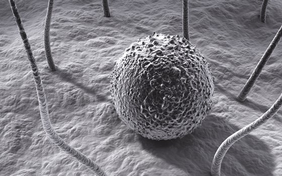 3D Graphics: Various