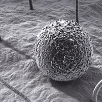 Портфолио Alon Minski