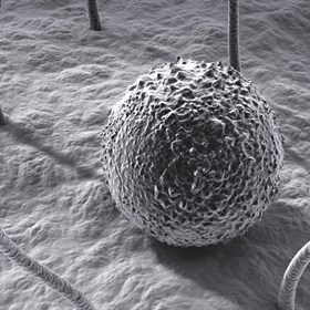 3D Graphics: Various